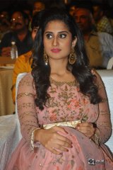 Ammammagarillu Movie Pre Release Function Photos